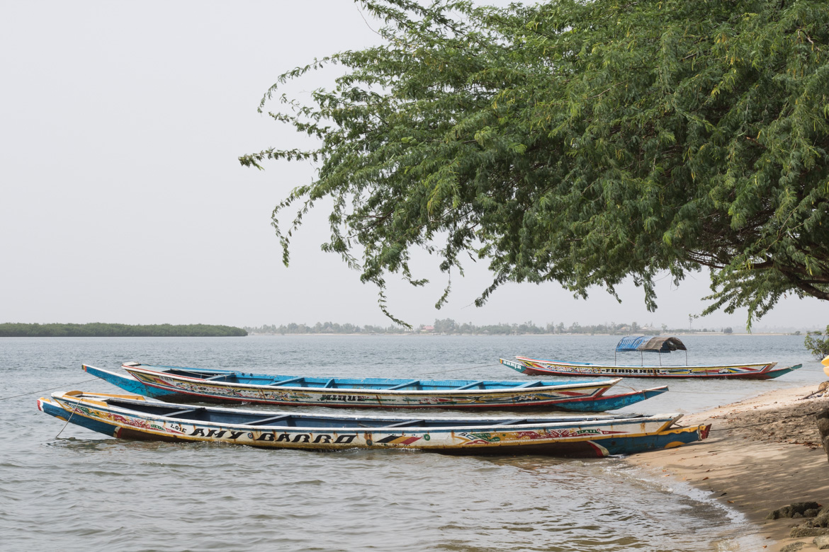une semaine au senegal decouverte parc national Saloum iles