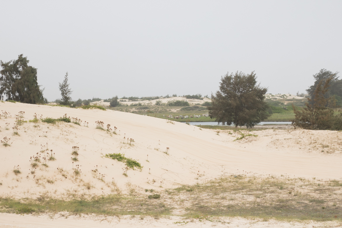 une semaine au senegal dunes paris dakar