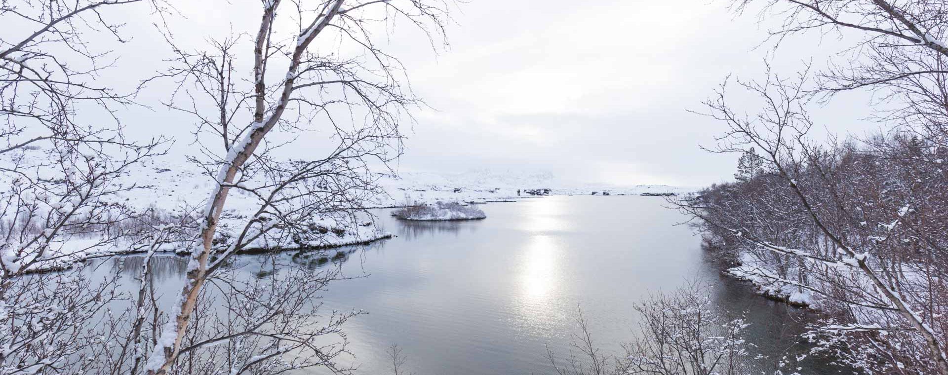 islande roadtrip hivernal lac myvatn parc Hofdi